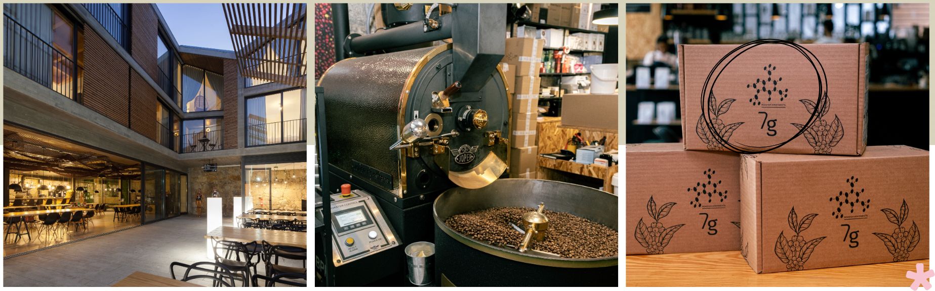 7g Roaster